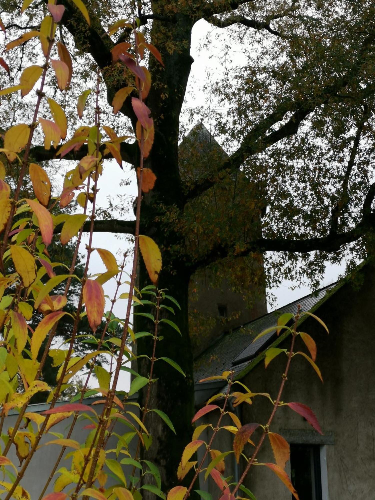 Le Moulin De La Retardiere Орво Экстерьер фото