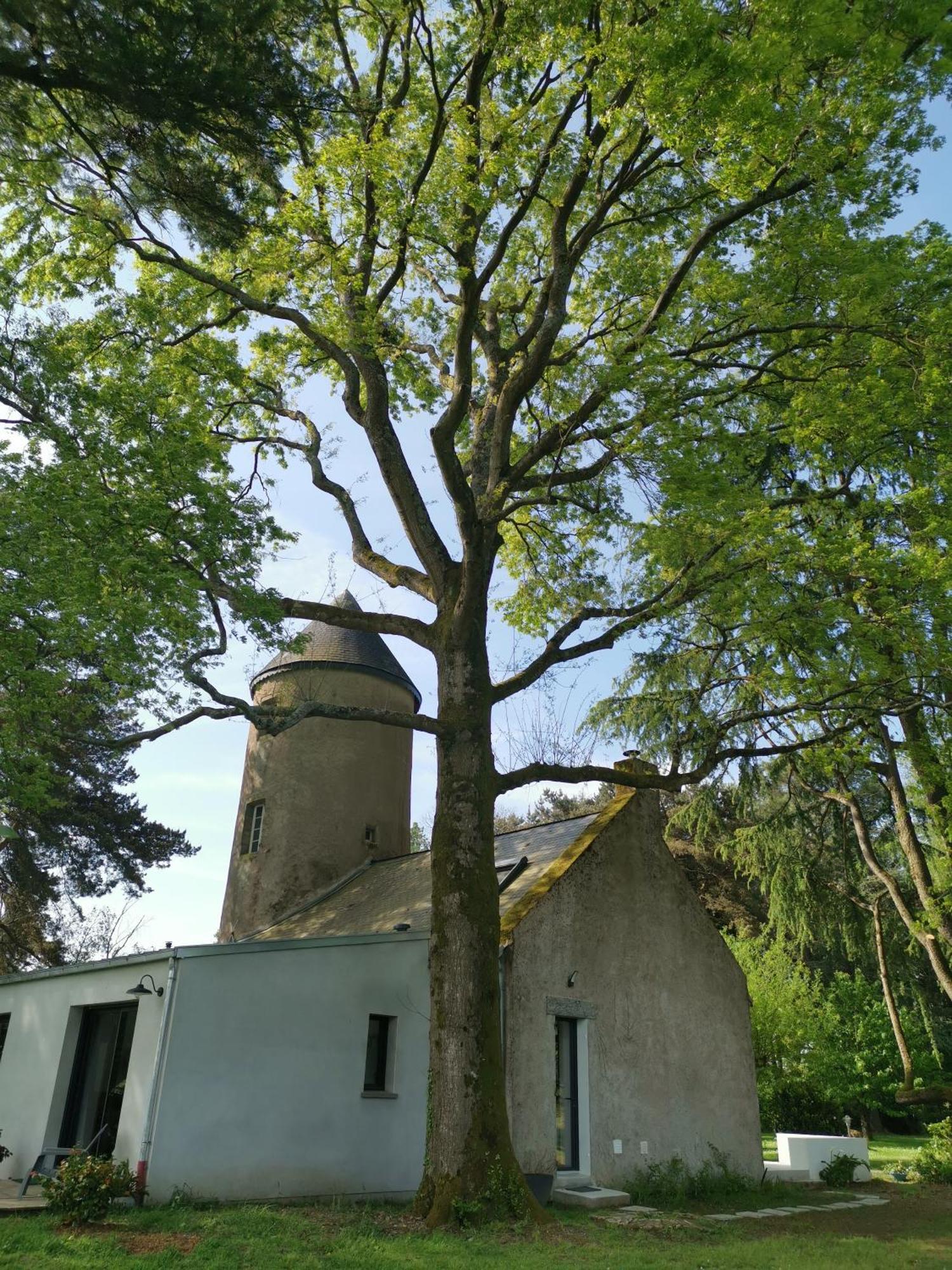 Le Moulin De La Retardiere Орво Экстерьер фото